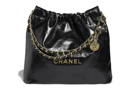 Chanel 22 Bag Featured Image